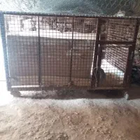 پله آهنی دوازده پله وفنس تمام آهن چرخ دار|مصالح و تجهیزات ساختمان|کارزان, |دیوار