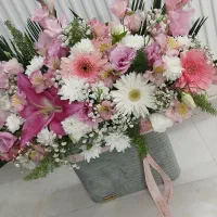 گل طبیعی زیبا