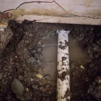 لوله کشی آب،نشت یابی دقیق،وبندکشی وعایقکاری|خدمات پیشه و مهارت|رشت, گلباغ نماز|دیوار