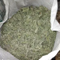 پونه کوهی تر و تمیز