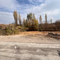 زمین ۲۵۰ متری در روستا کوشک زر|فروش زمین و ملک کلنگی|هشتگرد, کوشک زر|دیوار