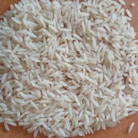 برنج طارم اعلای فریدونکنار -بوجاری شده برداشت تازه|خوردنی و آشامیدنی|بابل, |دیوار