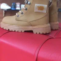 کفش|کیف، کفش، کمربند|پاوه, |دیوار