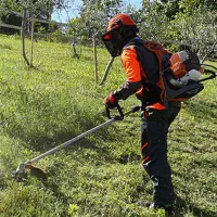 علف زنی و انواع هرس باغ چای