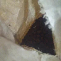 قهوه دون عربی