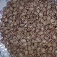 لوبیا چیتی درجه یک امسال|خوردنی و آشامیدنی|تهران, دولاب|دیوار