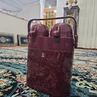 فلاکس دوقلو