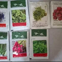 بذر سبزی باغچه