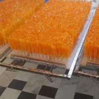 نبات|عمده‌فروشی|اصفهان, بابوکان|دیوار