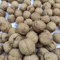 فروش
