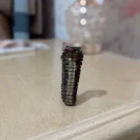 تسبیح هسته خرما