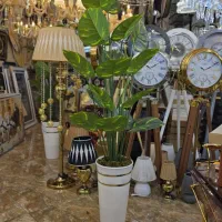 درخچه مصنوعی گل مصنوعی مدل پتوس ارتفاع ۱۸۵