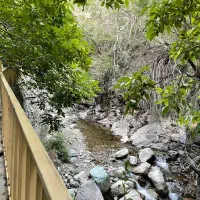 باغ رویایی رودخانه دار تهران(رندان)/سرمایهگذاری|فروش زمین و ملک کلنگی|کن, |دیوار