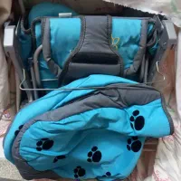 کالسکه ، کریر ، روروئک