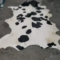 پوست تزیینی گاوی درجه یک