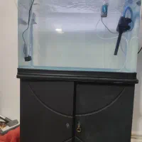 اکواریوم معاوضه با پرنده