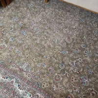 فرش 700شانه نگین مشهد با یک جفت پشتی ست|فرش|گلبهار, شهر جدید گلبهار|دیوار