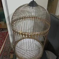 قفس انواع طوطی و مرغ مینا
