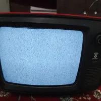 تلویزیون سیاه سفید