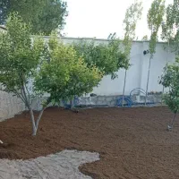 باغبانی وهر کاری