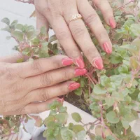 تخفیف کاشت
