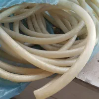 شیلنگ آب ساده