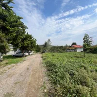 فروش زمین ۲۵۰ متری مسکونی اکبرسرای اطاقور