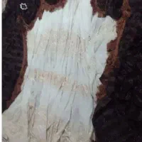 پرده پذیرای|پرده، رانر، رومیزی|رشت, عینک|دیوار