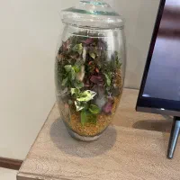 گل و گلدان شیشه ای نو