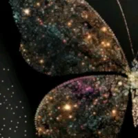 آگهی استخدام نیروی سرایدار حوالی خیابان کارگر