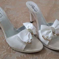 دمپایی مجلسی