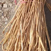 زغال( برگ و چوب تن با کو)|عمدهفروشی|اصفهان, رکن الدوله غربی|دیوار