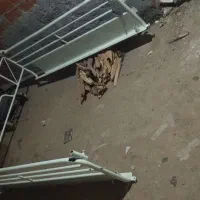 باربند سالم