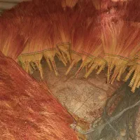 جارو دستی|لوازم نظافت|اراک, |دیوار