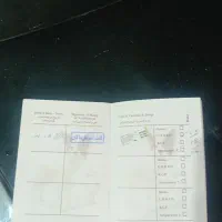 حیوان خانگی|سگ|کرج, خرمدشت|دیوار