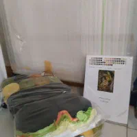 نخ و نقشه مینیاتوری سیمرغ با دار قالی چله‌کشی‌شده