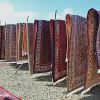 قالیشویی باسابقه 20سال