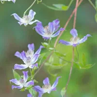 برنامه های پاییزه رو از ما بخواهید .