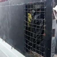 اتاق وانت گم شده