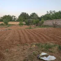 زمین-فروشی
