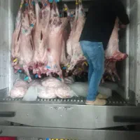 فروش گوشت تازه و منجمد دام|خوردنی و آشامیدنی|تهران, توحید|دیوار