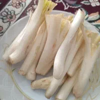 ریواس کنگر چیریش سبزی کوهی