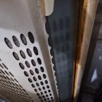 هود سالم|هود|طرقبه, |دیوار