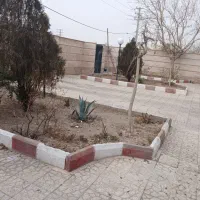 49مترسندتک-برگ-820نقد-اصلی-مارلیک