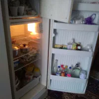 دوتا یخچال