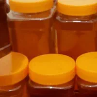 عسل کوهستان