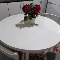 میزنهارخوری|میز و صندلی غذاخوری|سنقر, |دیوار