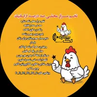 تخم مرغ بومی (محلی) ارگانیک ارسال رایگان|خوردنی و آشامیدنی|کاشان, زیدی|دیوار