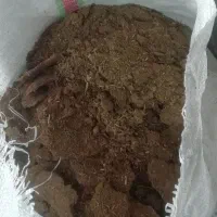 کود خشک گوسفندی|خدمات باغبانی و درختکاری|قائمشهر, |دیوار