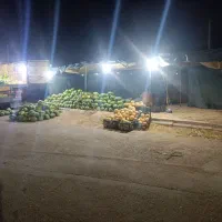 نیازمند شاگرد برای کار